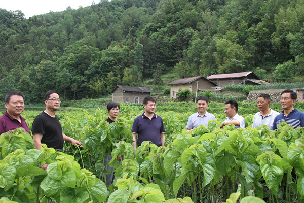安康市商務(wù)局領(lǐng)導(dǎo)來我公司調(diào)研春蠶收購(gòu)及扶貧點(diǎn)蠶?；亟ㄔO(shè)情況